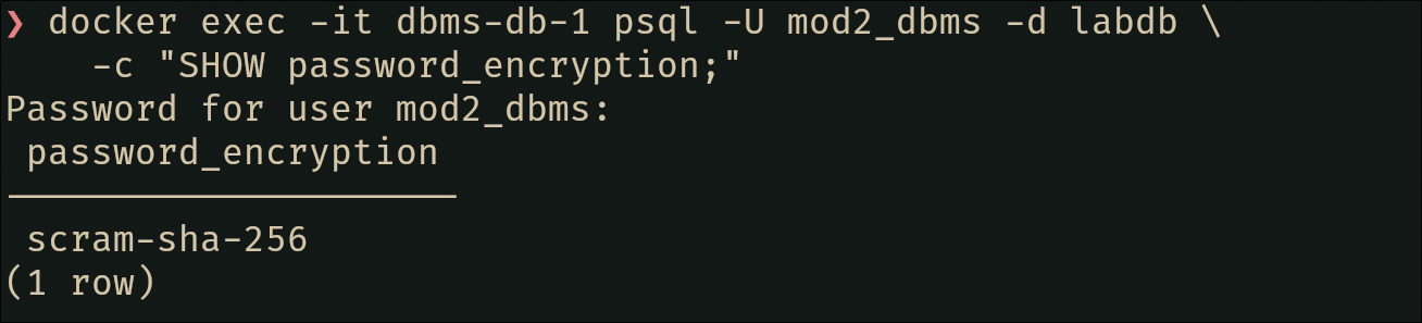 Password encryption