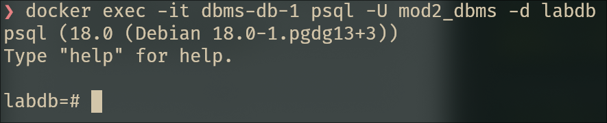PostgreSQL CLI connection
